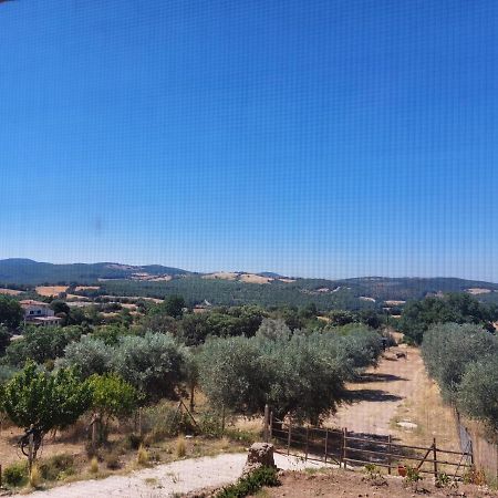 Fattoria La Campigliola公寓 外观 照片