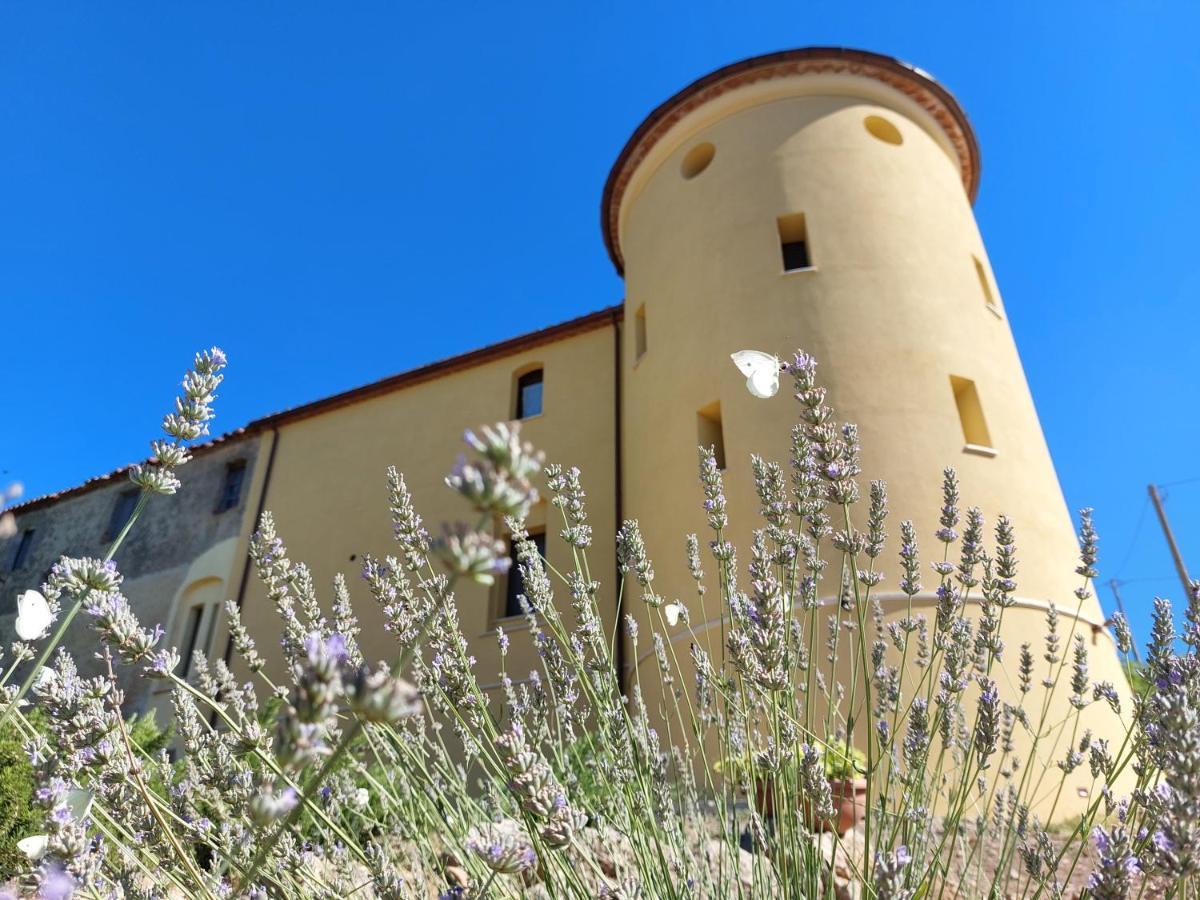 Fattoria La Campigliola公寓 外观 照片